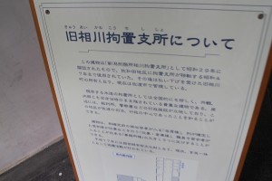 IMG_5411