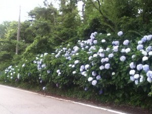 蓮華峰寺