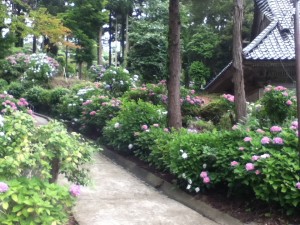 蓮華峰寺