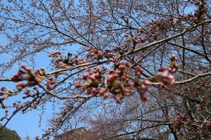 IMG_6027